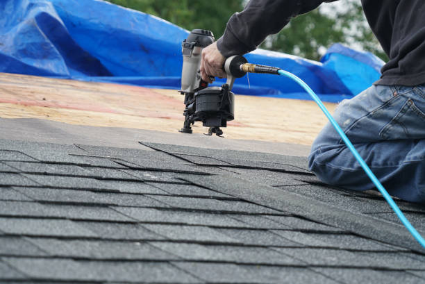 Trusted Homeland Park, SC Roofing Contractor Experts